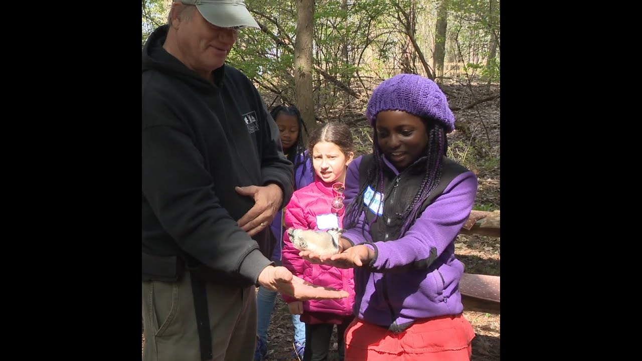 Thumbnail image for E.L. Johnson Nature Center Bird Banding